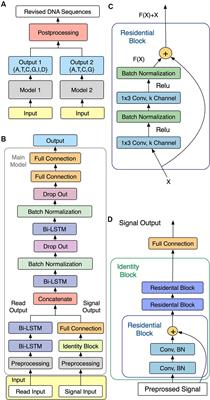 NanoReviser: An Error-Correction Tool for Nanopore Sequencing Based on a Deep Learning Algorithm